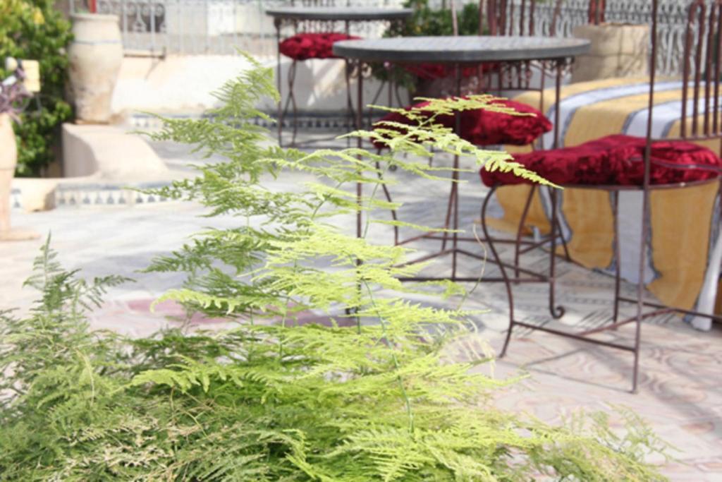 Dar Lalla Kenza Fès Extérieur photo